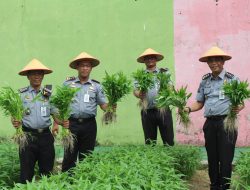 Dukung Program Ketahanan Pangan, Kalapas Pekanbaru dan Jajaran Panen Hasil Pembinaan Kemandirian Warga Binaan