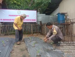 Polsek Cerenti Cek Persiapan Penanaman Cabe di Lahan Percontohan, Dukung Program ASTA CITA Presiden RI