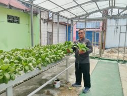 Panen Sayur Kangkung dan Pakcoy, Bukti Nyata Lapas Pekanbaru Terus Produktif dan Konsisten Dukung Program Ketahanan Pangan