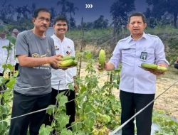 Kakanwil Ditjenpas Riau Panen Timun di Rutan Pekanbaru, Dorong Kemandirian Warga Binaan Melalui Program Ketahanan Pangan