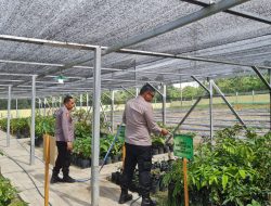 Sentuhan Tangan Kapolres Kampar Lestarikan Alam, Siram Bibit di Bank Pohon, Ajak Masyarakat Menanam untuk Masa Depan!