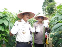 Panen Raya Nasional di Rutan Pekanbaru, Wujud Pembinaan Warga Binaan dan Dukungan Ketahanan Pangan