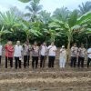 Polsek Rambah Tanam Jagung di Bangun Purba, Dukung Swasembada Pangan 2026.