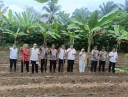 Polsek Rambah Tanam Jagung di Bangun Purba, Dukung Swasembada Pangan 2026.
