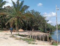 DPD LSM PENJARA Indonesia Mendesak Penegakan Hukum atas Dugaan Pelanggaran Berat di Kebun Awi