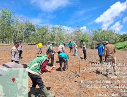 *Polsek Rambah Tanam Jagung 1,5 Hektare di Pasir Intan, Dukung Swasembada Pangan 2026*