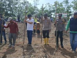 Polsek Tambusai Dukung Program Ketahanan Pangan Prabowo, “Tanam Jagung di Desa Talikumain”