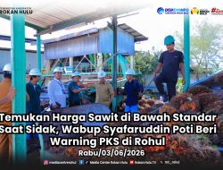 Temukan Harga Sawit di Bawah Standar Saat Sidak, Wabup Syafaruddin Poti Beri Warning PKS di Rohul