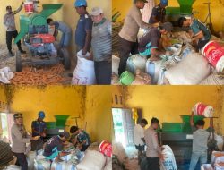Polsek Tambusai Dampingi Pemipilan Jagung PT. PSA, Wujud Dukungan Polri terhadap Ketahanan Pangan