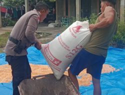BHABINKAMTIBMAS POLSEK BATU HAMPAR MONITOR PENGERINGAN JAGUNG PIPIL HASIL PANEN PROGRAM KETAHAN PANGAN DI SUNGAI SIALANG