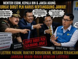 *Menteri ESDM, BIN dan Kejagung Harus Serius Selidiki Stok Batubara PLN, “Awas, Dirut PLN Itu Licik!”*