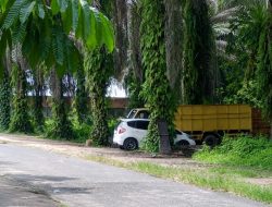 Diduga Gudang Penimbunan BBM Solar Subsidi Belakang Alam Mayang Pekanbaru, Tidak Tertindak Oleh APH Setempat!