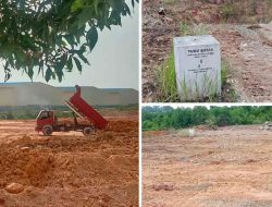 Misteri Hilangnya Tugu Batas Hutan Lindung HL 24, APH Diminta Selidiki Penimbunan Mangrove Sei Pelunggut