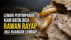 anti rayap solo