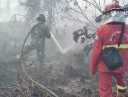 Kodam XIX Tuanku Tambusai Kerahkan Kekuatan Gabungan Hadapi Karhutla di Rimbo Panjang