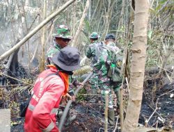 Cegah Api Kembali Muncul, Kodam XIX/Tuanku Tambusai Lanjutkan Pendinginan Karhutla Inhu