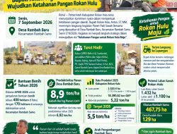 Panen Melimpah! Produksi Padi Rohul Naik, Bupati Anton Tegaskan Pertanian Jadi Andalan