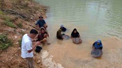 Saat Sumber Nafkah Terancam Hilang, Warga Pulo Padang Menanti Pemerintah Hadir